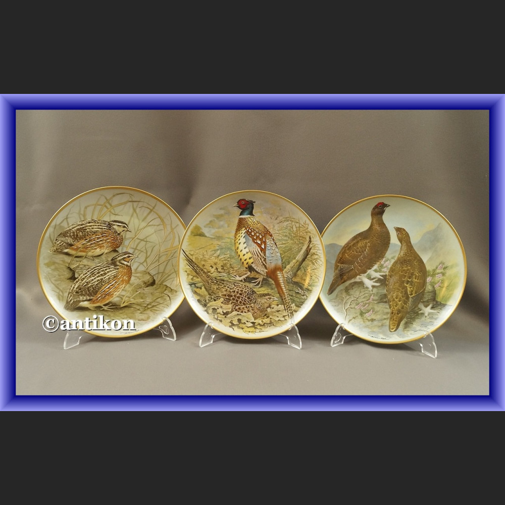 Limoges talerze kolekcjonerskie Ptaki Świata 12 sztuk Limoges talerze kolekcjonerskie Ptaki Świata 12 sztuk