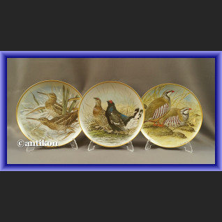 Limoges talerze kolekcjonerskie Ptaki Świata 12 sztuk Limoges talerze kolekcjonerskie Ptaki Świata 12 sztuk