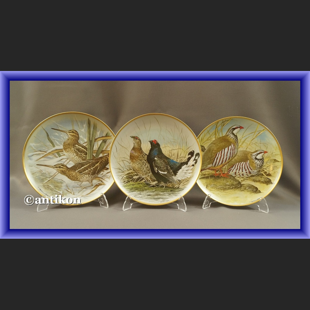 Limoges talerze kolekcjonerskie Ptaki Świata 12 sztuk Limoges talerze kolekcjonerskie Ptaki Świata 12 sztuk