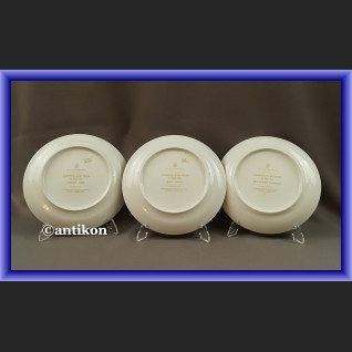 Limoges talerze kolekcjonerskie Ptaki Świata 12 sztuk Limoges talerze kolekcjonerskie Ptaki Świata 12 sztuk