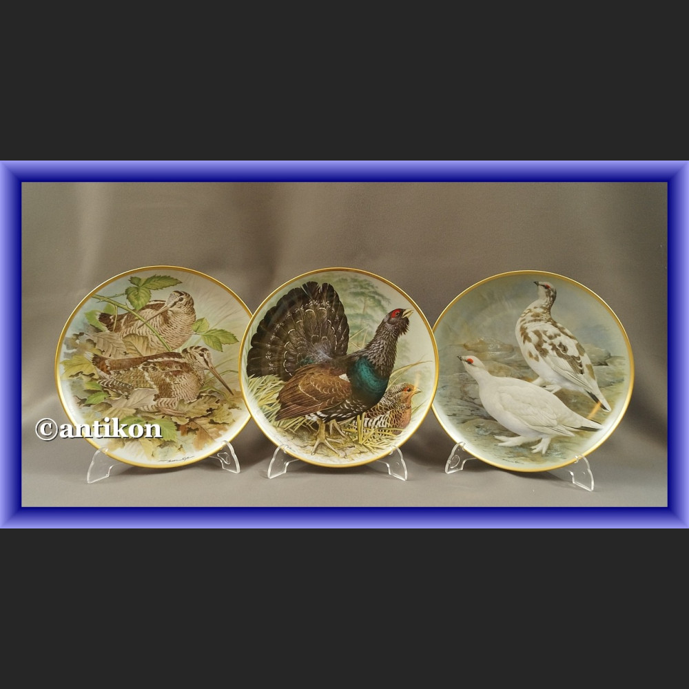 Limoges talerze kolekcjonerskie Ptaki Świata 12 sztuk Limoges talerze kolekcjonerskie Ptaki Świata 12 sztuk
