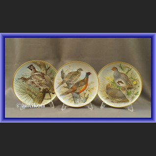 Limoges talerze kolekcjonerskie Ptaki Świata 12 sztuk Limoges talerze kolekcjonerskie Ptaki Świata 12 sztuk