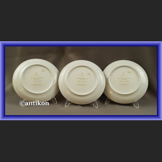 Limoges talerze kolekcjonerskie Ptaki Świata 12 sztuk Limoges talerze kolekcjonerskie Ptaki Świata 12 sztuk