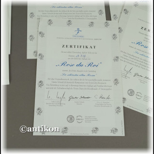 Ekskluzywna porcelana Furstenberg Róże cała seria talerzy kolekcjonerskich Ekskluzywna porcelana Furstenberg Róże cała seria talerzy kolekcjonerskich