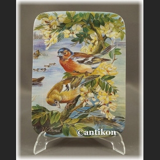 Talerze kolekcjonerskie Ptaki Świata seria z certyfikatem Talerze kolekcjonerskie Ptaki Świata seria z certyfikatem