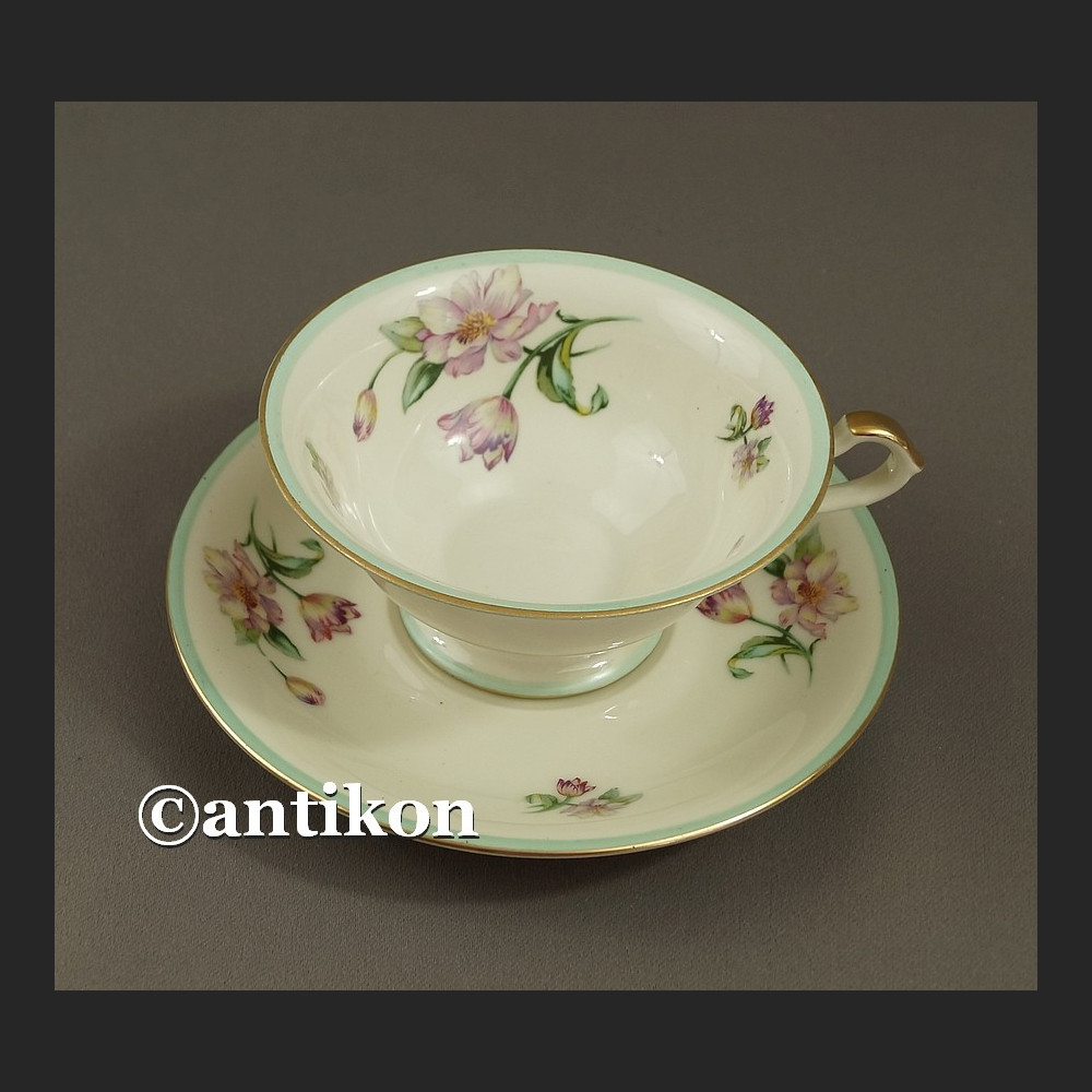 Filiżanka kolekcjonerska bawarska porcelana Eschenbach Filiżanka kolekcjonerska bawarska porcelana Eschenbach