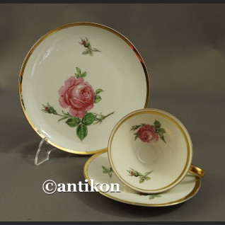 Filiżanka kolekcjonerska bawarska porcelana Róża trio