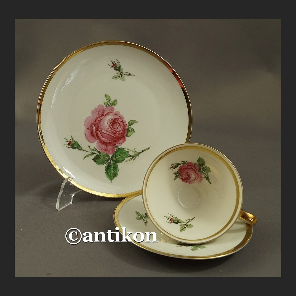 Filiżanka kolekcjonerska bawarska porcelana Róża trio
