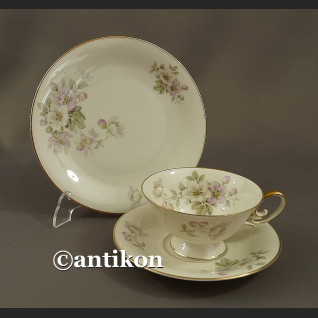Śniadaniówka filiżanka kolekcjonerska Kwitnąca wiosna stara bawarska porcelana trio Śniadaniówka filiżanka kolekcjonerska Kwitnąca wiosna stara bawarska porcelana trio