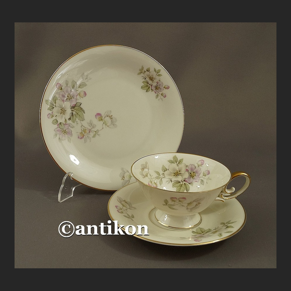 Śniadaniówka filiżanka kolekcjonerska Kwitnąca wiosna stara bawarska porcelana trio Śniadaniówka filiżanka kolekcjonerska Kwitnąca wiosna stara bawarska porcelana trio