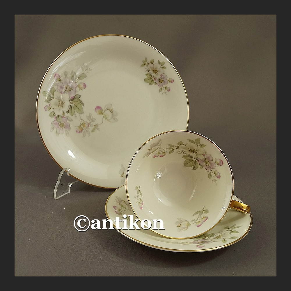 Śniadaniówka filiżanka kolekcjonerska Kwitnąca wiosna stara bawarska porcelana trio Śniadaniówka filiżanka kolekcjonerska Kwitnąca wiosna stara bawarska porcelana trio