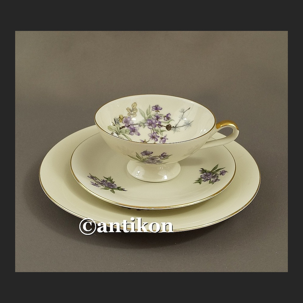 Piękny zestaw śniadaniowy porcelanowe trio Hertel Jacob