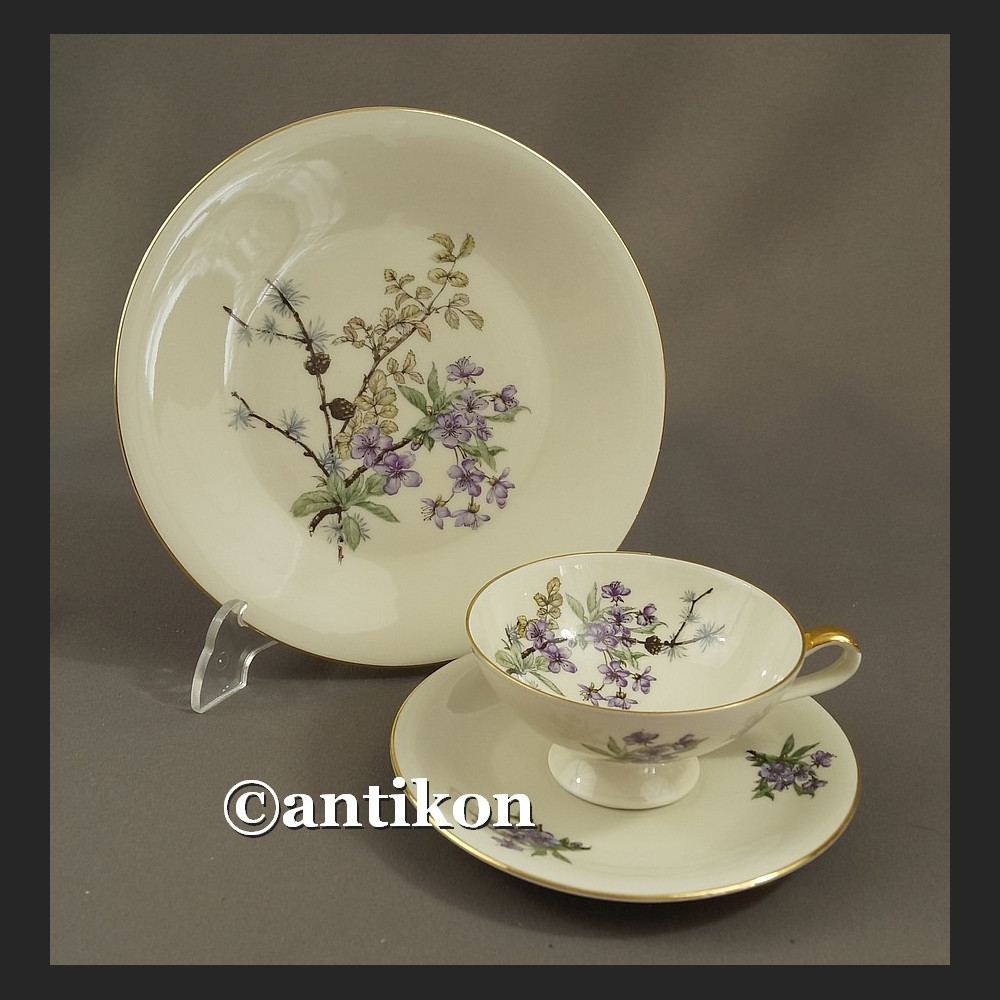 Piękny zestaw śniadaniowy porcelanowe trio Hertel Jacob