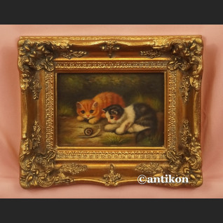 Obraz olejny koty kotki