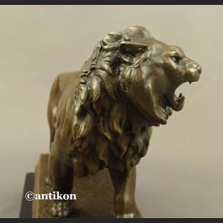 Rzeźba lew ryczący prawdziwy brąz duży sygnowany  Rzeźba lew ryczący prawdziwy brąz duży sygnowany