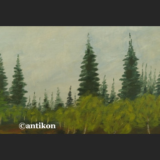 Olej na desce Wodospad leśny pejzaż