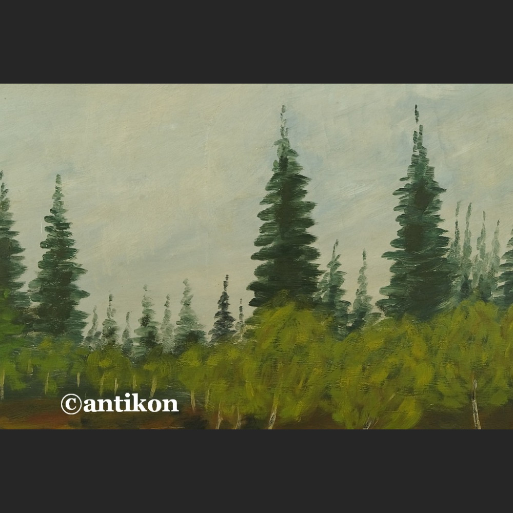 Olej na desce Wodospad leśny pejzaż